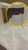 4.thumb.jpeg.9eae327642481eef52cd0afdd8a4e4bd.jpeg