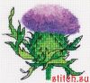 50325.thumb.jpg.bd603b8fbbe5f41ec4b2f11637e38b12.jpg