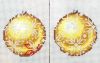 61874210_AmberOrnament11-15-2021.jpg.7d1f572d34f2713fb8004751f6889ba5.thumb.jpg.b8b67ae8530a914aaf0be167c56b4073.jpg