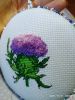 95E3956F-C74C-43DE-A1EF-6A41CC0C90A1.jpeg