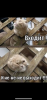 CB5C035E-7D1C-4470-A206-50B68FAD42FF.thumb.png.77fb7e0293621dbe61f5821691e50032.png