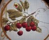 Cherries5.thumb.JPG.6744663add396b5c9dbd6b32596acb77.JPG
