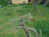 DSC04082.thumb.JPG.e77d5df09124c51bb098fbc3673d9a51.JPG