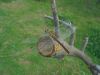 DSC04096.thumb.JPG.4f976a0bf14c41140a4c05b806224740.JPG