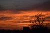 DSC_4334.thumb.JPG.d6ba68497e2552ff0ede278698eddfb5.JPG