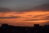 DSC_4339.thumb.JPG.e19e534c95fc65b24c801e38b1f39607.JPG