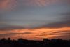 DSC_4340.thumb.JPG.208759f142a62168795e169ca114de01.JPG