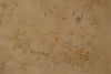 DSC_6648.thumb.jpg.65299f7b3cad8d2d73f9cbfc7887d32d.jpg