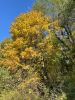 IMG-20211006-WA0103.thumb.jpg.1f13a6b5c89d4d21970c254bf83b383e.jpg