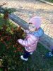 IMG-20211029-WA0014.thumb.jpg.ad4c80ab2eb462adf1af3619a85ad0ed.jpg