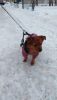 IMG-20211029-WA0041.thumb.jpg.b4ccffb180505ed6809bb669799afc4b.jpg