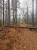 IMG-20211106-WA0015.thumb.jpg.940ce391debb8f61e79460e707c4ca44.jpg