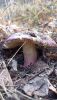 IMG20211022135242.thumb.jpg.ab9e8d4f77e9788b4f86eeffee157b7e.jpg