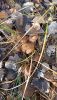 IMG20211031101018.thumb.jpg.7c71631c075ceb0ceae67e54e0da44e8.jpg