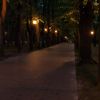 IMG_20210523_211016.thumb.jpg.85cb3c178c3c4439d1a79bdb0af9e9f8.jpg