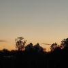 IMG_20210523_211217.thumb.jpg.b25a0da79d45fc0d77aeffbdee57e5b5.jpg