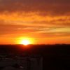 IMG_20210530_205459.thumb.jpg.45cf918d55cdc3dc601bc9420c571298.jpg