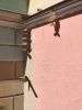IMG_20210605_101735.thumb.jpg.0f006bfbd6f3600bffaf715472bf6908.jpg