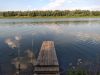 IMG_20210801_162415.thumb.jpg.f63208a366f6ed8474a61c6e6d6e9c77.jpg