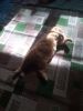 IMG_20211027_100844.thumb.jpg.3ebe45f9a9e0cd6be7cbe929321141b6.jpg