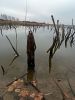 IMG_20211031_105323.thumb.jpg.1f9f032fd63436cf4497fbe3bbafcd96.jpg