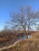 IMG_20211031_123110.thumb.jpg.728ce58e2854657ef450b4717b350a33.jpg