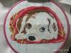IMG_20211031_235844.thumb.jpg.06a62d648de63755df645cc2a543d32b.jpg