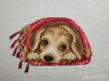 IMG_20211105_102842.thumb.jpg.f127a4883211de3f1018e4533d72ebff.jpg