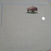 IMG_20211105_201152.thumb.jpg.f8eff43f50eadb089f8c50939c2c6c63.jpg