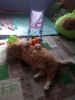 IMG_20211110_115533.thumb.jpg.a29737b583b406847e67440fd854835c.jpg