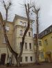 IMG_20211113_121414.thumb.jpg.aaeec1be04db1278a044a82f14766460.jpg