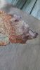 IMG_20211113_130147938.thumb.jpg.70715689b392cbc36b2ad07b104aa996.jpg