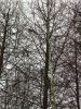 IMG_20211117_111556.thumb.jpg.ccc6e9cc20184c631f7bb5269e1ef5a2.jpg