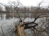 IMG_20211117_134558.thumb.jpg.758fee38e3597be330a2af7c65ecff77.jpg