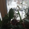 IMG_20211121_093311.thumb.jpg.3ea5cca96a1f4c675a3ee7eb8a32b215.jpg