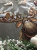 IMG_20211122_214740_848.thumb.JPG.43429a7e3135558e97132f628bdce8b6.JPG