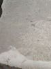 IMG_20211127_115428.thumb.jpg.ed1ffdc168f40dfae008b0c418fc0b05.jpg