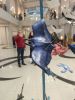 IMG_20211127_152339.thumb.jpg.3edf6a1ccf62252039d32cb9d21aaabd.jpg