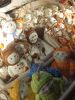 IMG_20211127_155029.thumb.jpg.b9768474f9cf483f647da94d530e615f.jpg