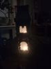 IMG_20211127_194513.thumb.jpg.8473f62fbe8653af78a2a89fa881028a.jpg