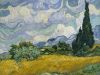 vgogh-field-1.thumb.jpg.07823ea2cc38597d03e5415515177538.jpg