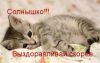 010203.thumb.jpeg.401a2149861598cd6146887d0e84b6a5.jpeg