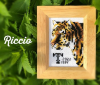 Riccio, Тигр