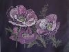 1068473626_141991.jpg.fd693efed19b8340b156b9e97767d287.thumb.jpg.32a7f9200dc361ef07a85d29ae6e0310.jpg