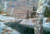 1203204957_06.thumb.jpg.8cd882394e623dbcd09e5414041fa364.jpg