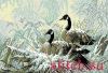 15284.thumb.jpg.9c995b54387bd31f2fe795b3c7af2f7c.jpg