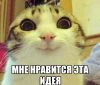 1617351727_1.thumb.jpeg.6a7ccaf2abba8bc65b46724ae9dd6498.jpeg