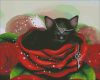 17316139_Sweet_Daydreams_500400.thumb.jpg.776581ee12aabf2b27c253a31d36818a.jpg