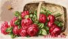 19359.thumb.jpg.9a10e3e97e9a2214b09a0b839ab5825f.jpg