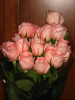 2021-12-20-20-53-39.thumb.png.e089a4dbf4891c2aecd7a271e1556331.png